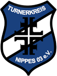 tknippes handball logo